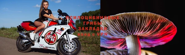 спайс Аркадак