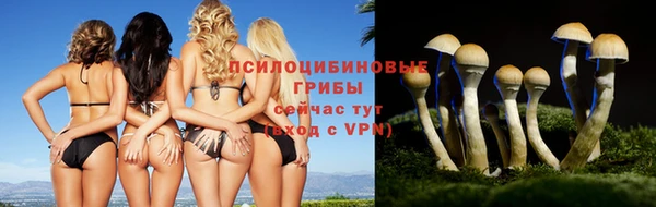 спайс Аркадак