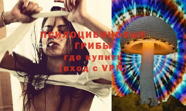 дмт Арсеньев