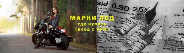 дмт Арсеньев