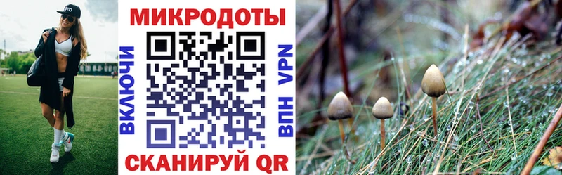 Галлюциногенные грибы Cubensis KRAKEN tor Бугуруслан сколько стоит